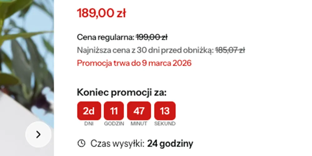 licznik czasu promocji shoper